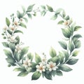 Watercolor floral wreath with jasmine flowers and green leaves isolated on white background Royalty Free Stock Photo